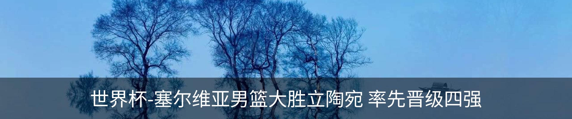内页banner